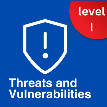Threats and Vulnerabilities - Beginner