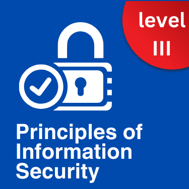 Principles of Information Security - Advanced